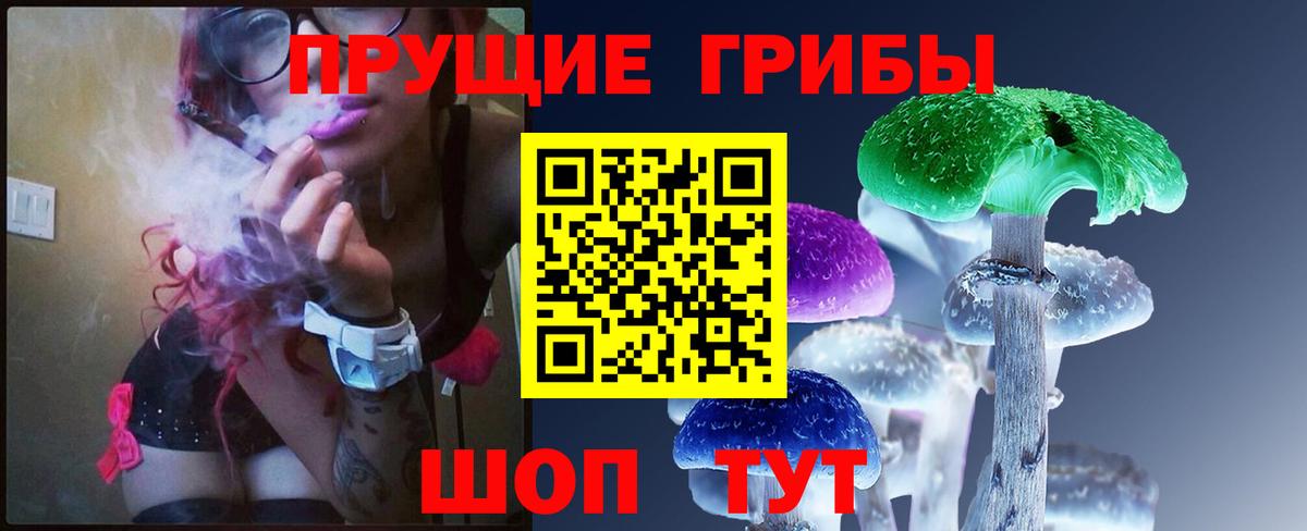 Камышин  Галлюциногенные грибы GOLDEN TEACHER  Вход с VPN 