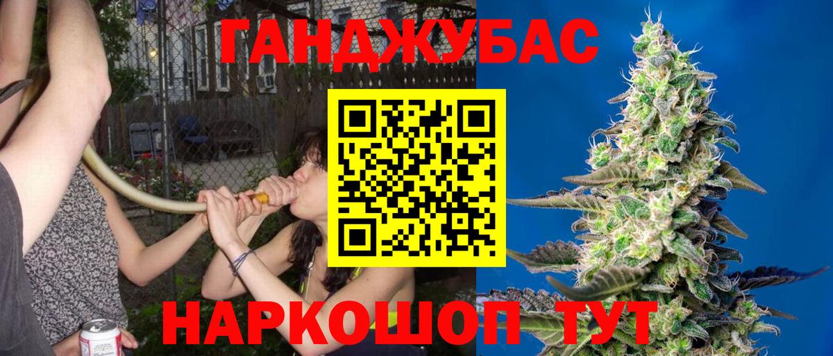 Бошки марихуана планчик  Марихуана планчик  Шишки марихуана VHQ  Камышин  Вход с VPN 